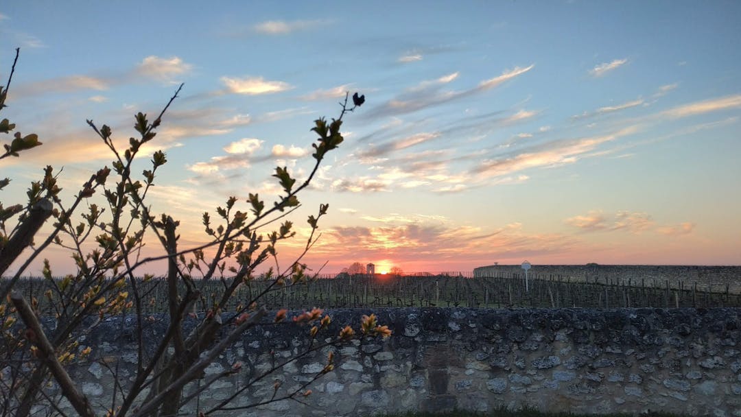 The weather in Bordeaux and when to visit